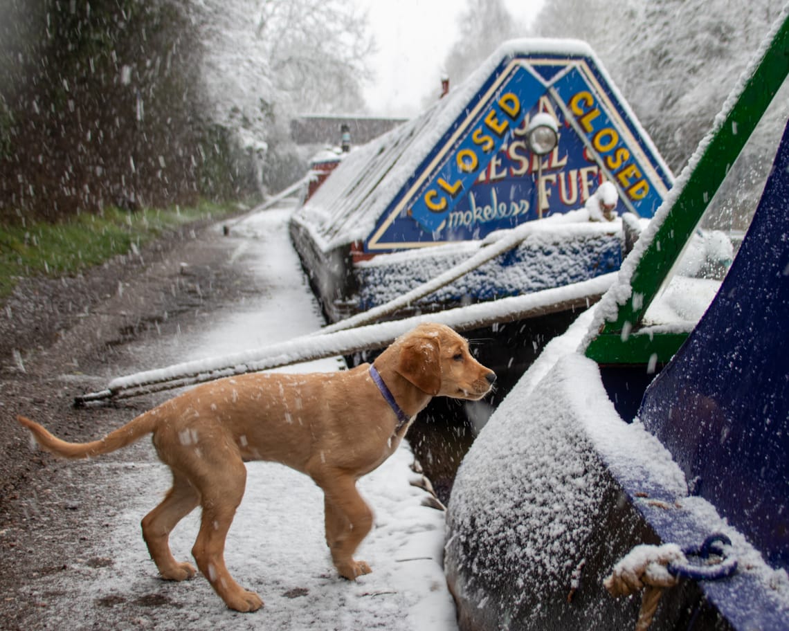 Finlay escaping the snow